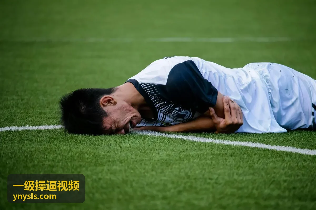 一级操逼视频高清收藏合集