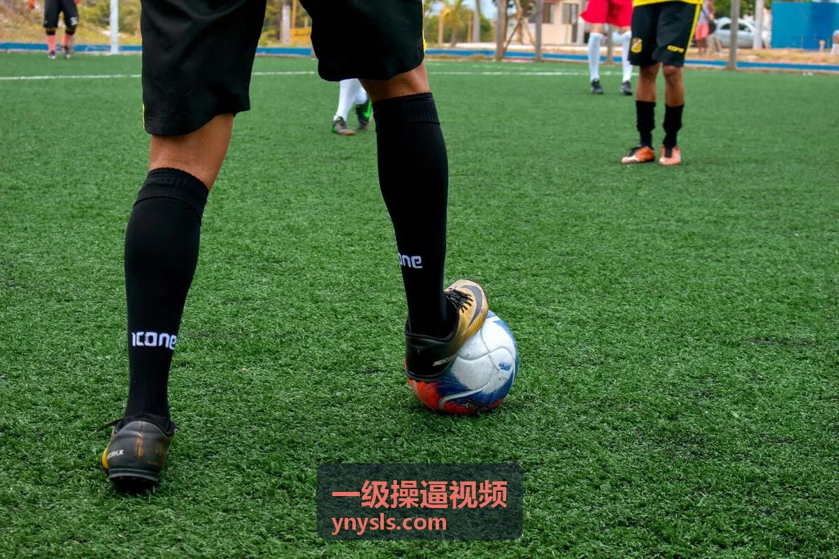 一级操逼视频收藏榜单封面