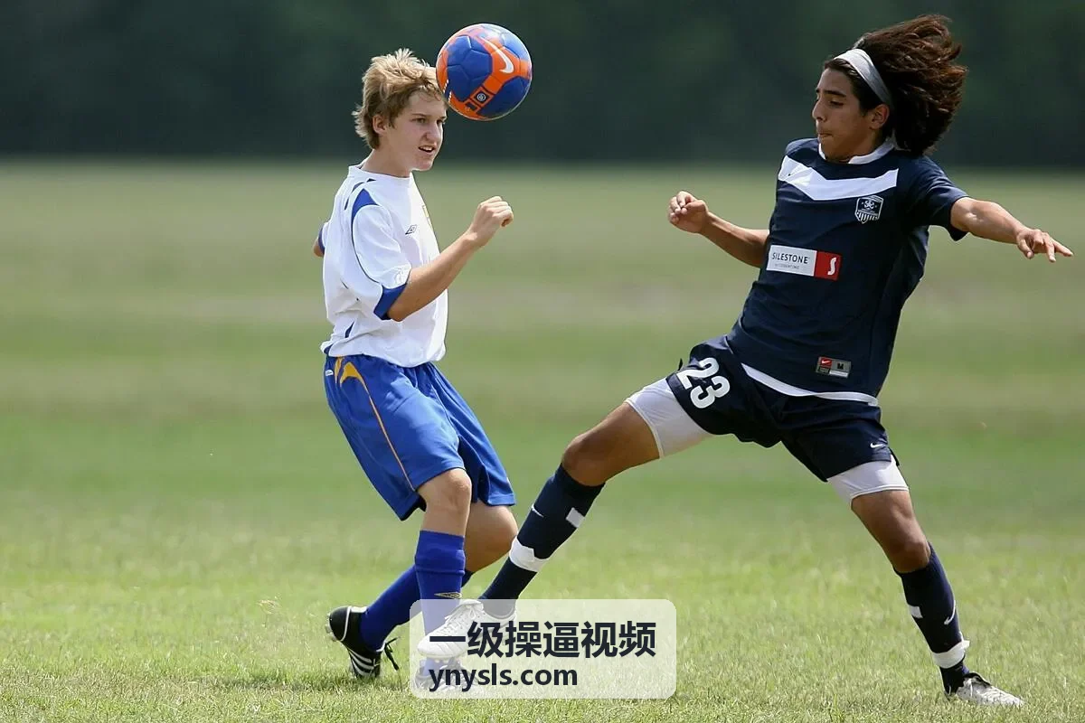 一级操逼视频高清更新内容